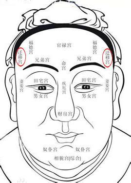 相頭 意思|中國古代相法秘技：相頭歌訣